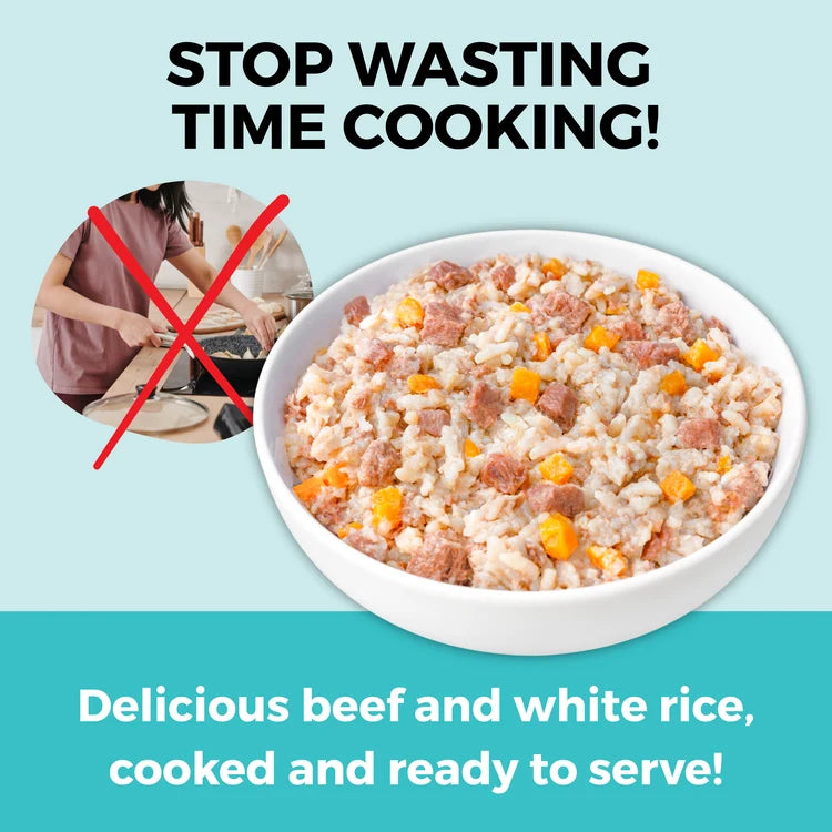 Koha Limited Ingredient Bland Diet Beef & White Rice Recipe for Dogs