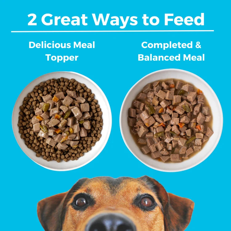 Koha Greek Island Grill Slow Cooked Chicken & Lamb Stew Canned Dog Food