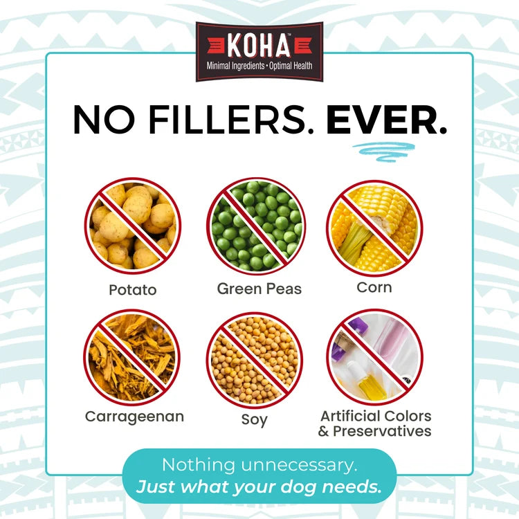 KOHA Limited Ingredient Diet Turkey Entrée Canned Dog Food