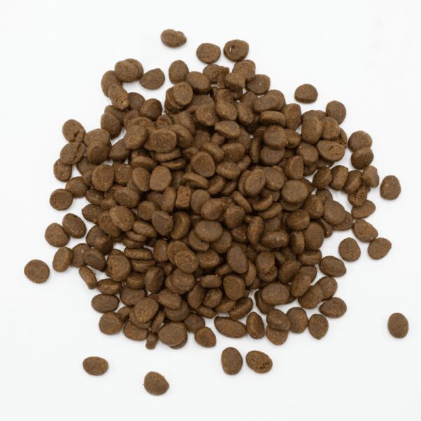 Oxbow Essentials Ferret Food 4 lb