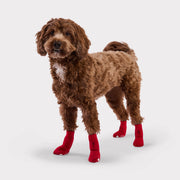 Gf Pet Indoor No-Slip Dog Socks