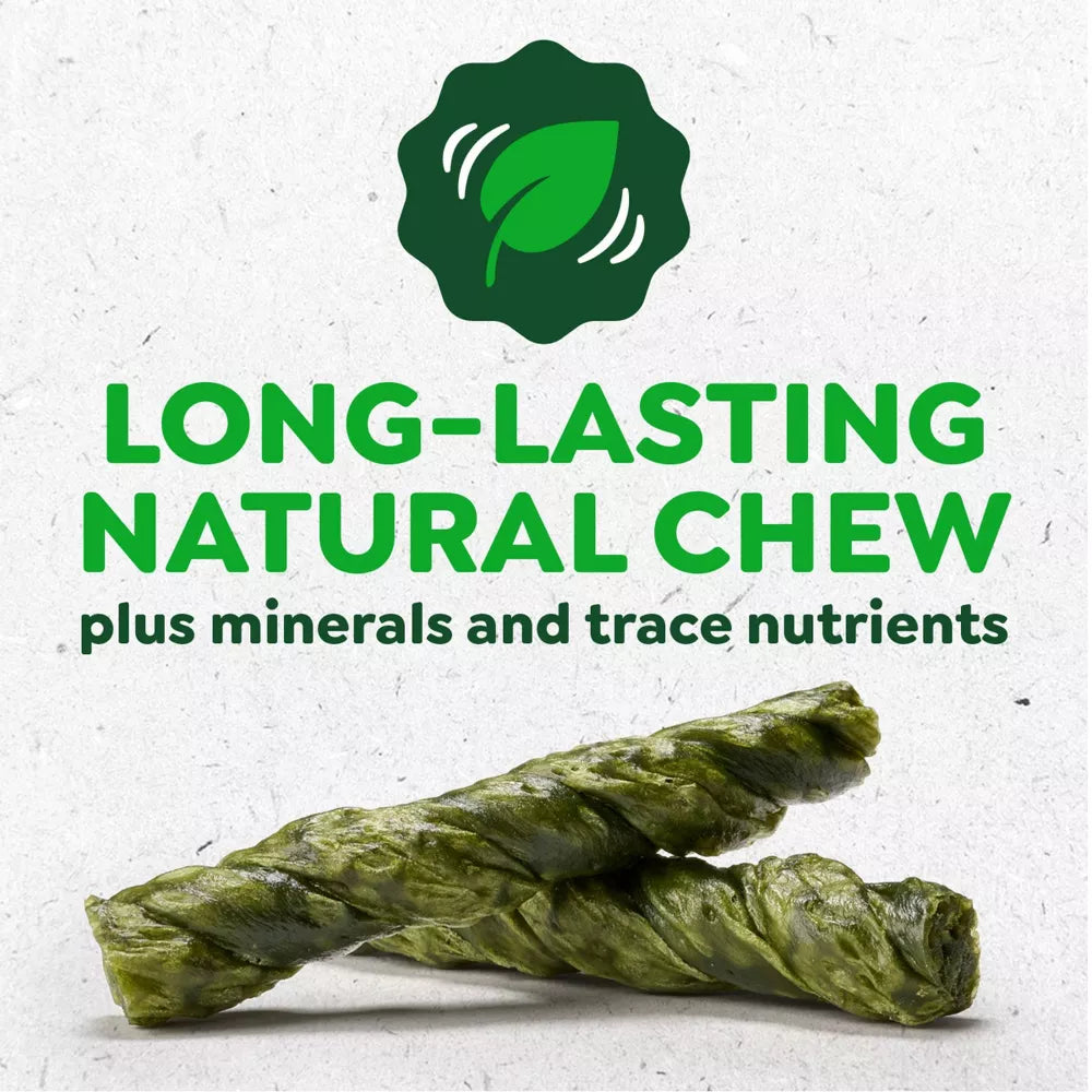 Greenies Occupy Twists Natural Long-Lasting Chews Dog Treats