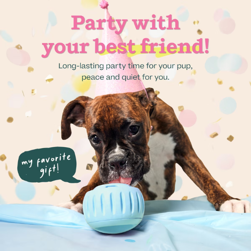Woof Buddy Blue Party Pupsicle Treat Dispensing Dog Toy