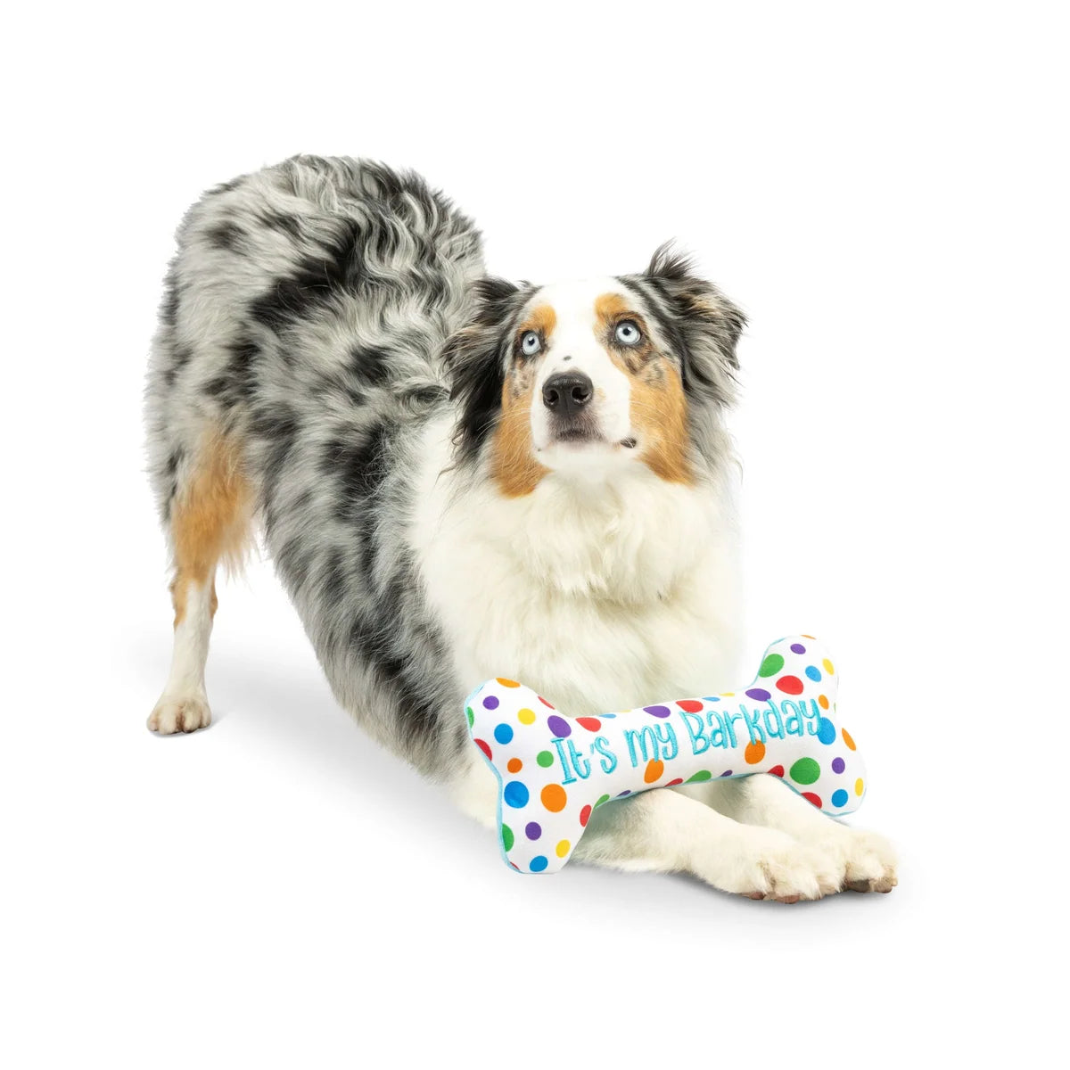 Huxley & Kent Tiny Tuff It's My Barkday Plush Dog Toy Set 2 pk