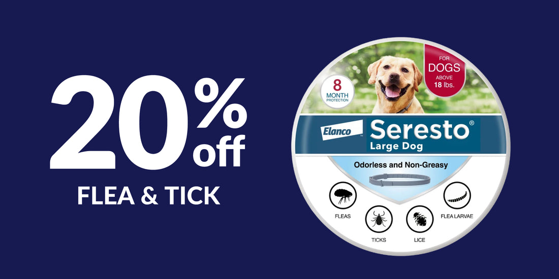 <strong>Shop Flea & Tick</strong>