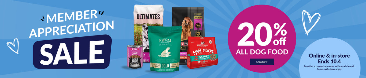 Feeders Pet Supply