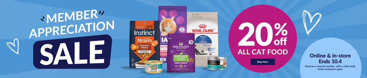 Feeders Pet Supply