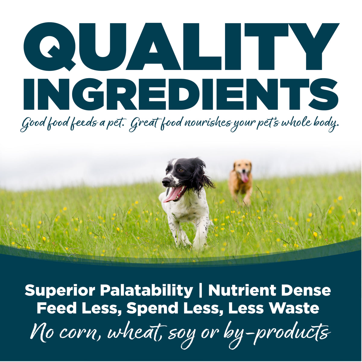 Nutrisource Small Bites Chicken & Rice Recipe Dry Dog Food 4 lb