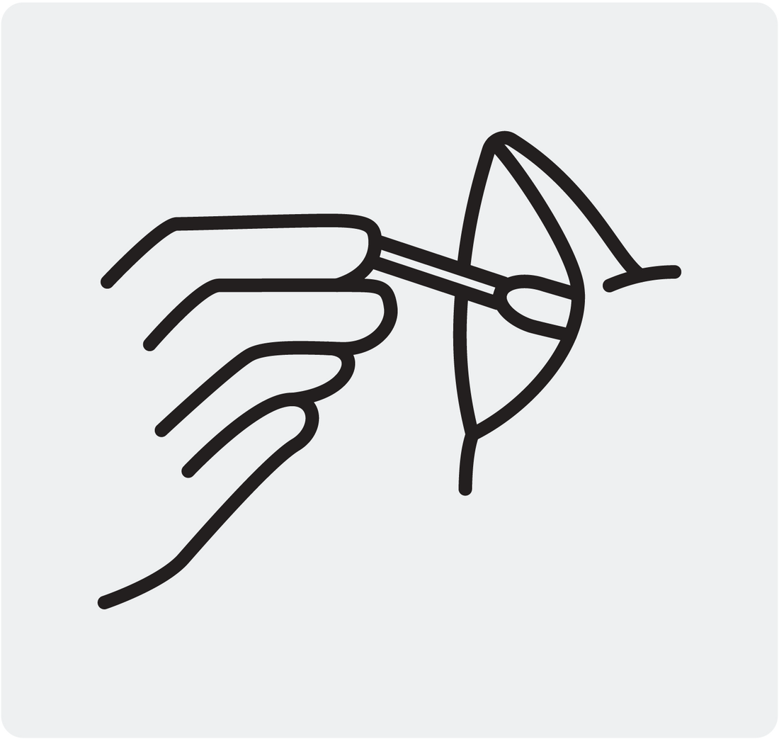 Ear Clean & Flush