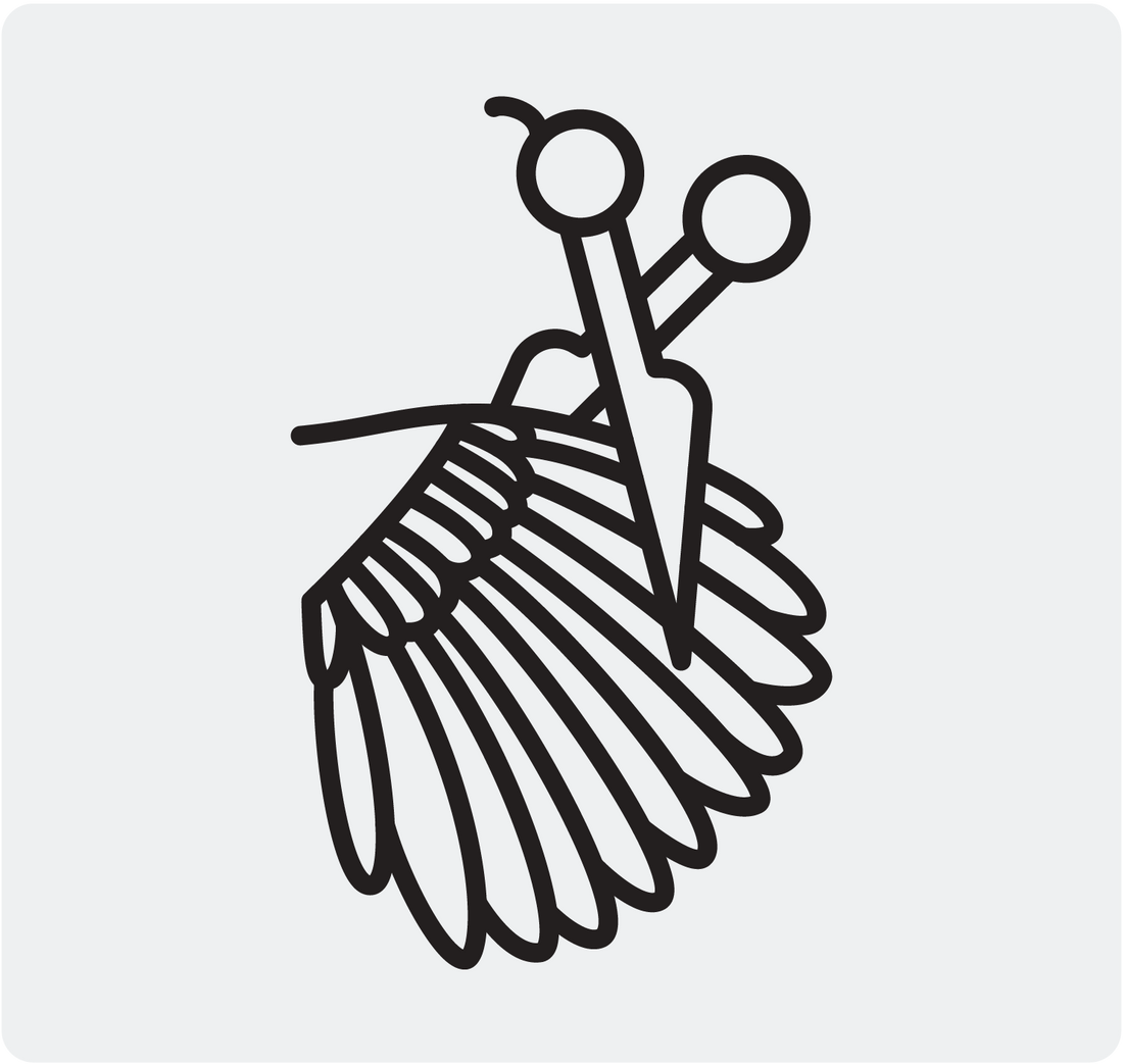 Wing Trim