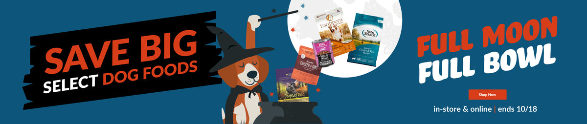 Feeders Pet Supply
