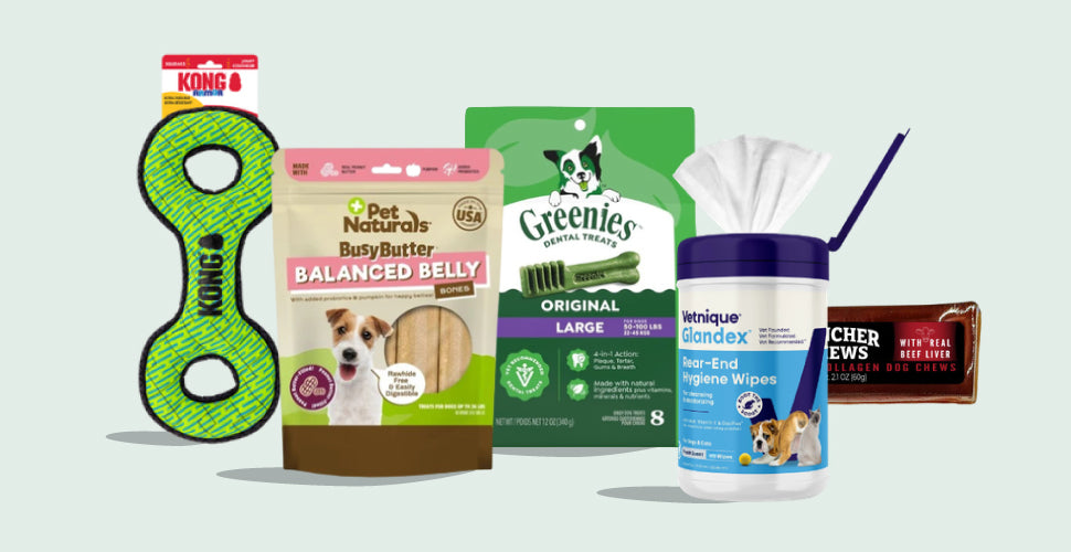 <strong>Good Dogs Deserve Great Deals</strong>