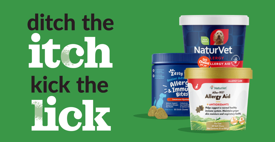 <strong>Allergy Season is Here!</strong>