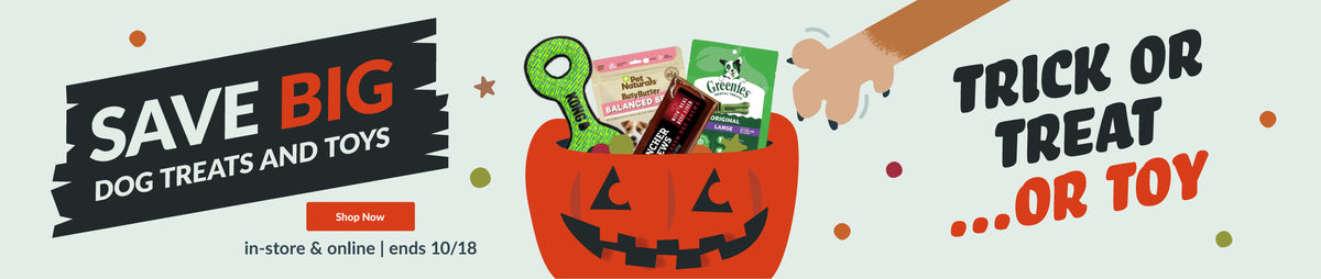 Feeders Pet Supply