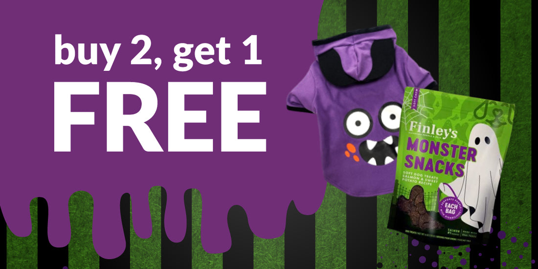 <strong>Save on Spooky Cute Finds</strong>