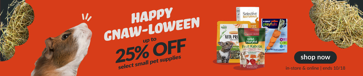 Feeders Pet Supply