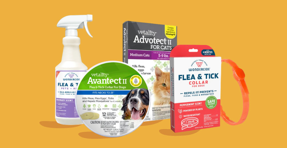 <strong>Save Up to $10 on Select Flea and Tick</strong>