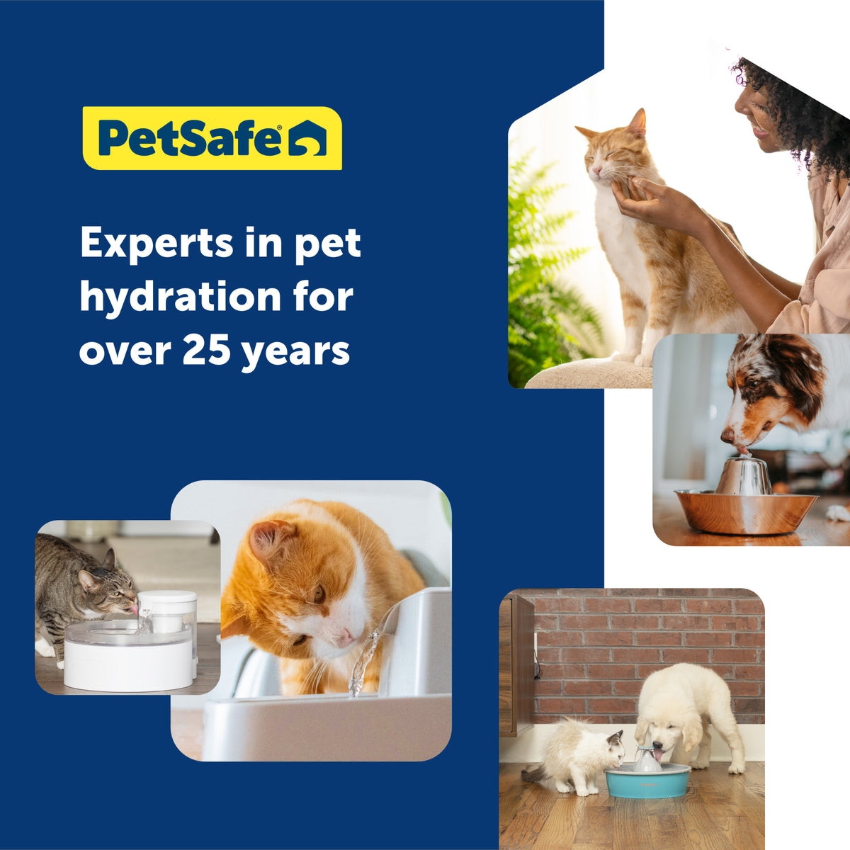 Petsafe Ion-X Pet Fountain Filters 4 pk