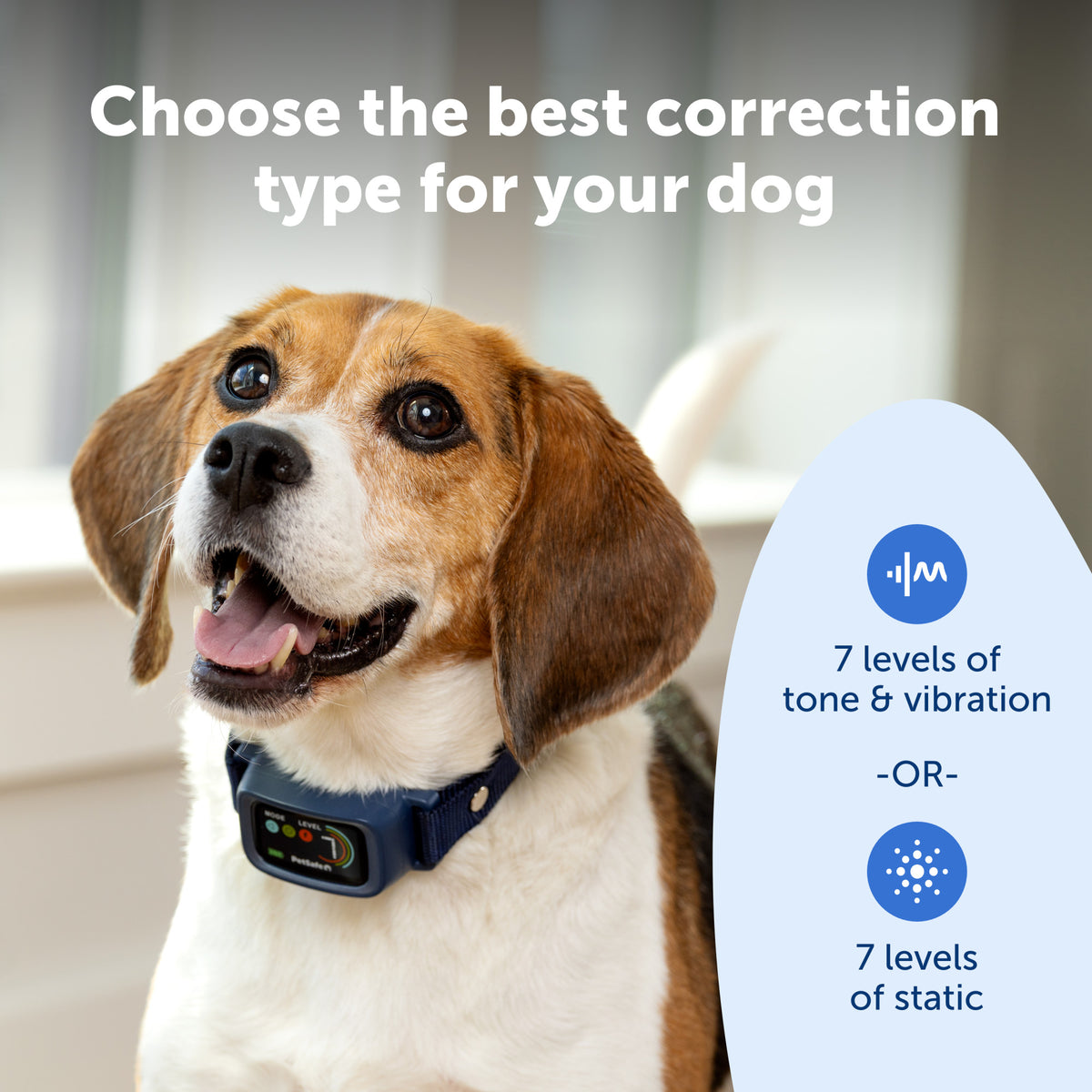 Petsafe Core Digital Bark Collar