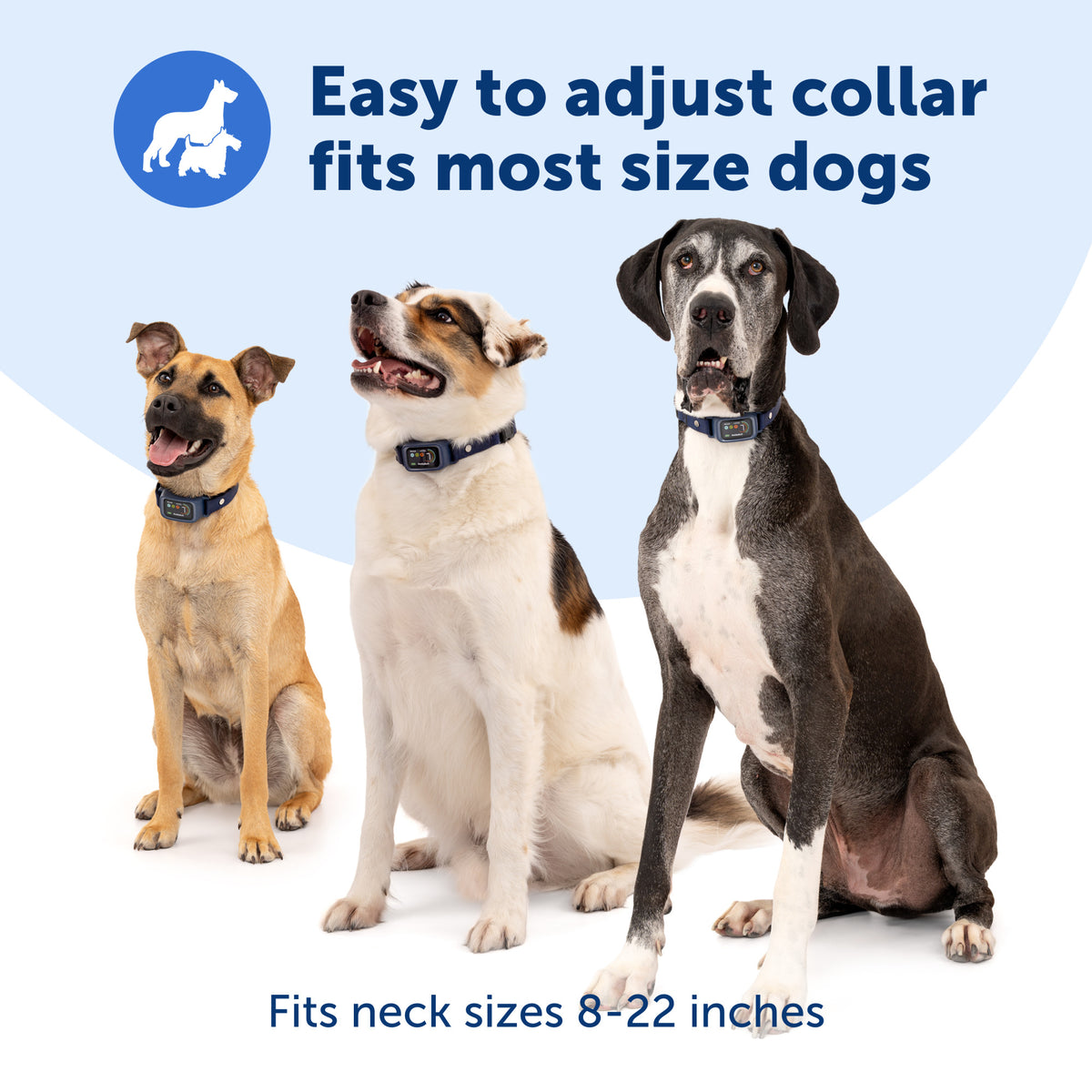 Petsafe Core Digital Bark Collar
