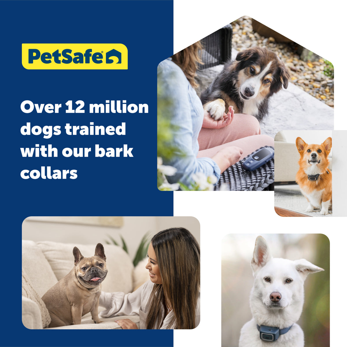 Petsafe Core Digital Bark Collar