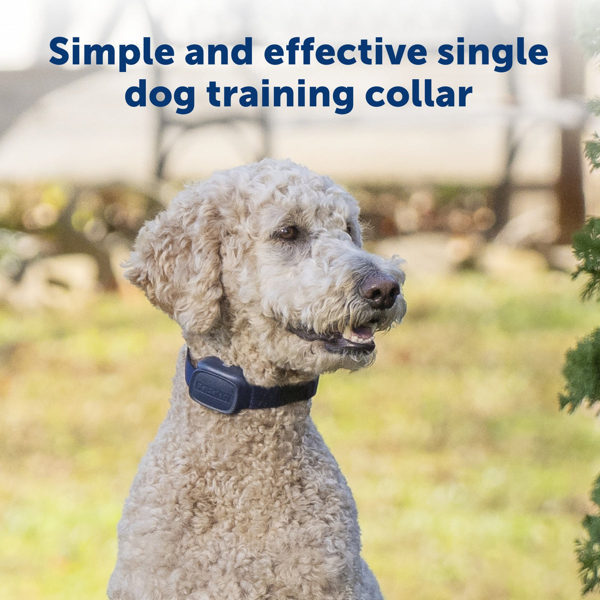 Petsafe Basic Dog Trainer Collar with Remote