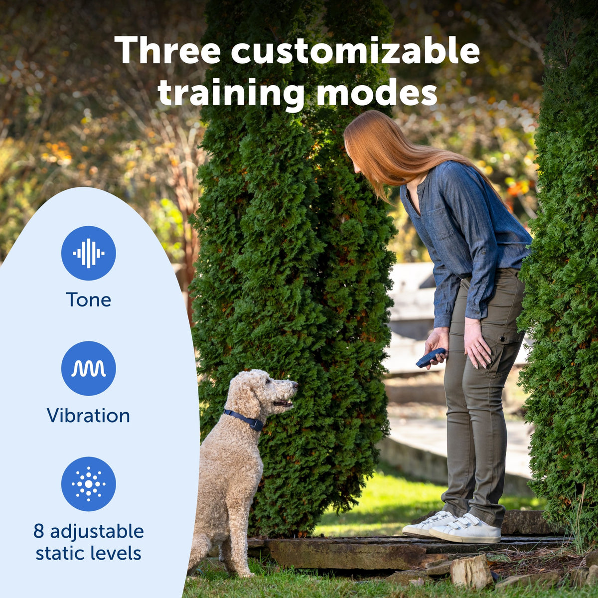 Petsafe Basic Dog Trainer Collar with Remote