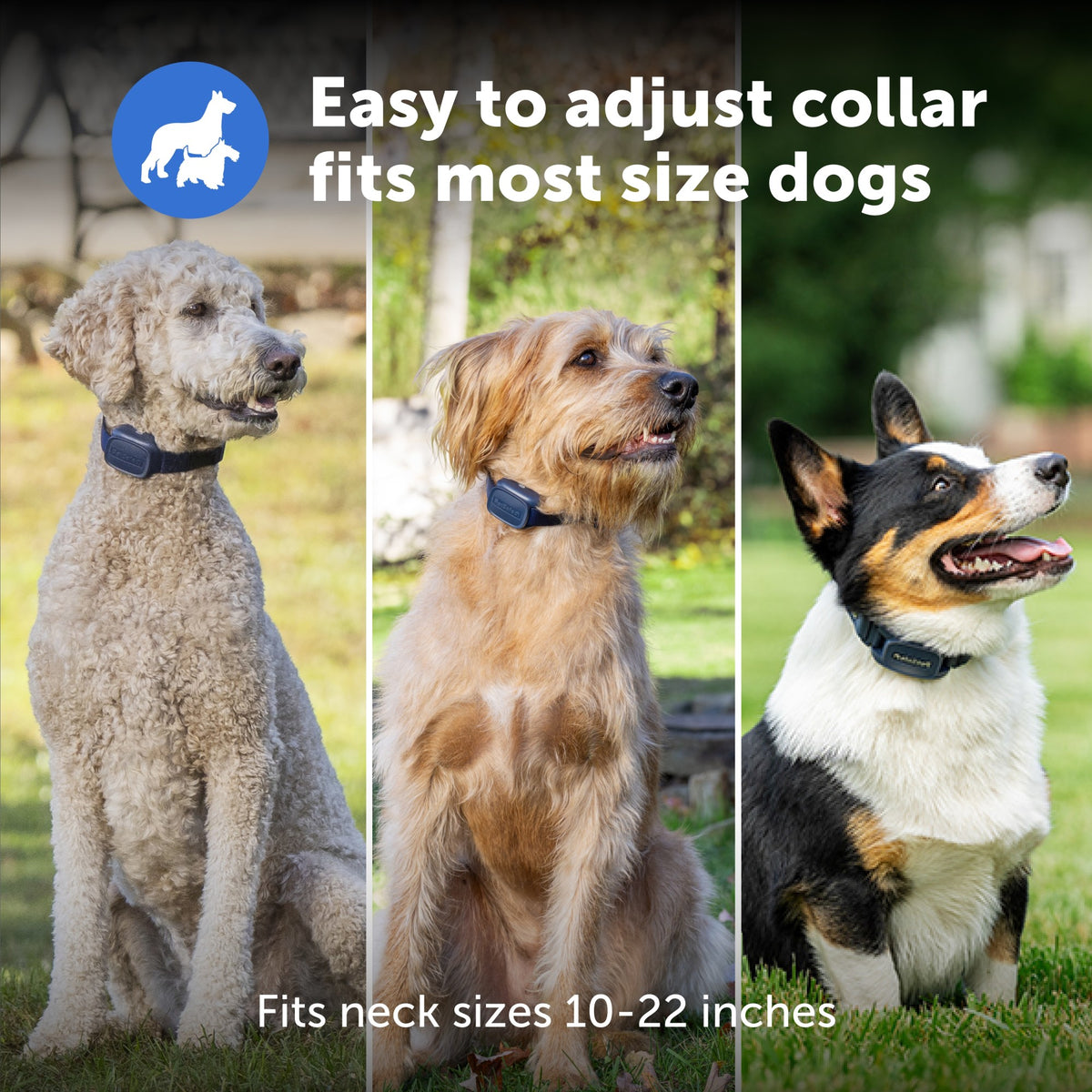 Petsafe Basic Dog Trainer Collar with Remote