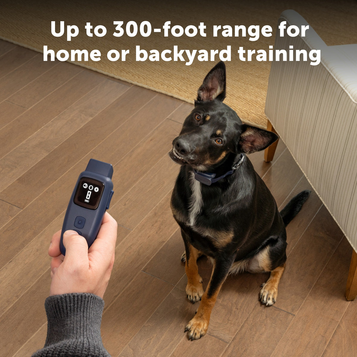 Petsafe Basic Dog Trainer Collar with Remote