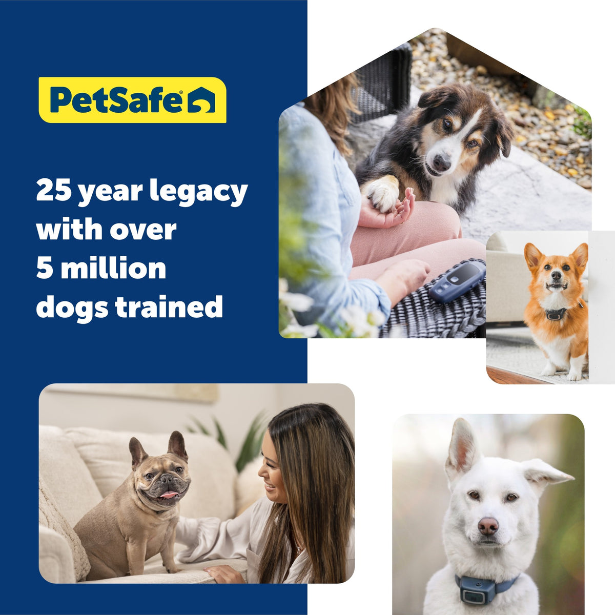 Petsafe Basic Dog Trainer Collar with Remote