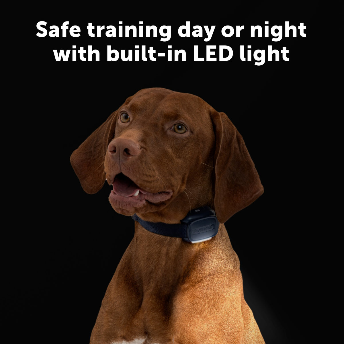 Petsafe Core Dog Trainer Collar with Remote