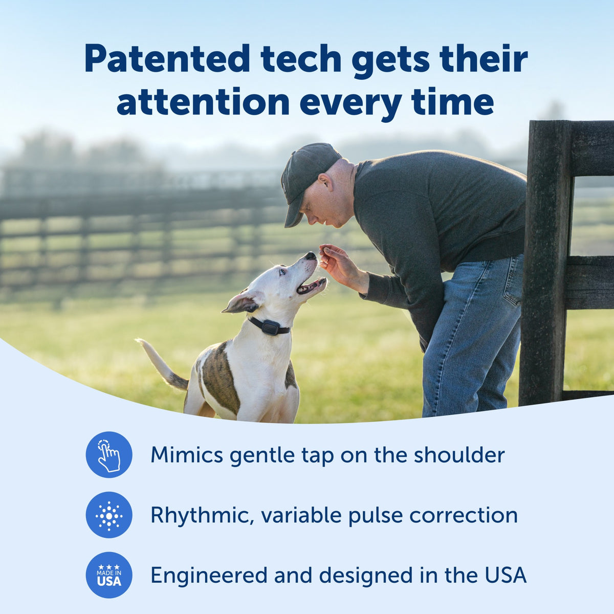Petsafe Core Dog Trainer Collar with Remote
