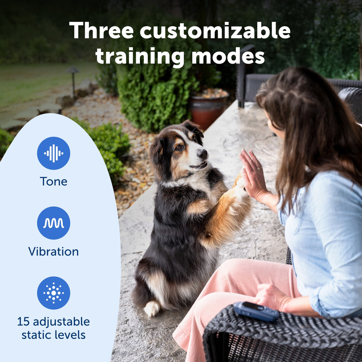 Petsafe Core Dog Trainer Collar with Remote