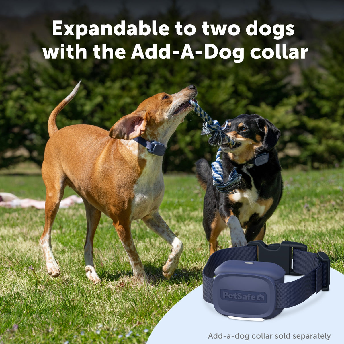 Petsafe Core Dog Trainer Collar with Remote
