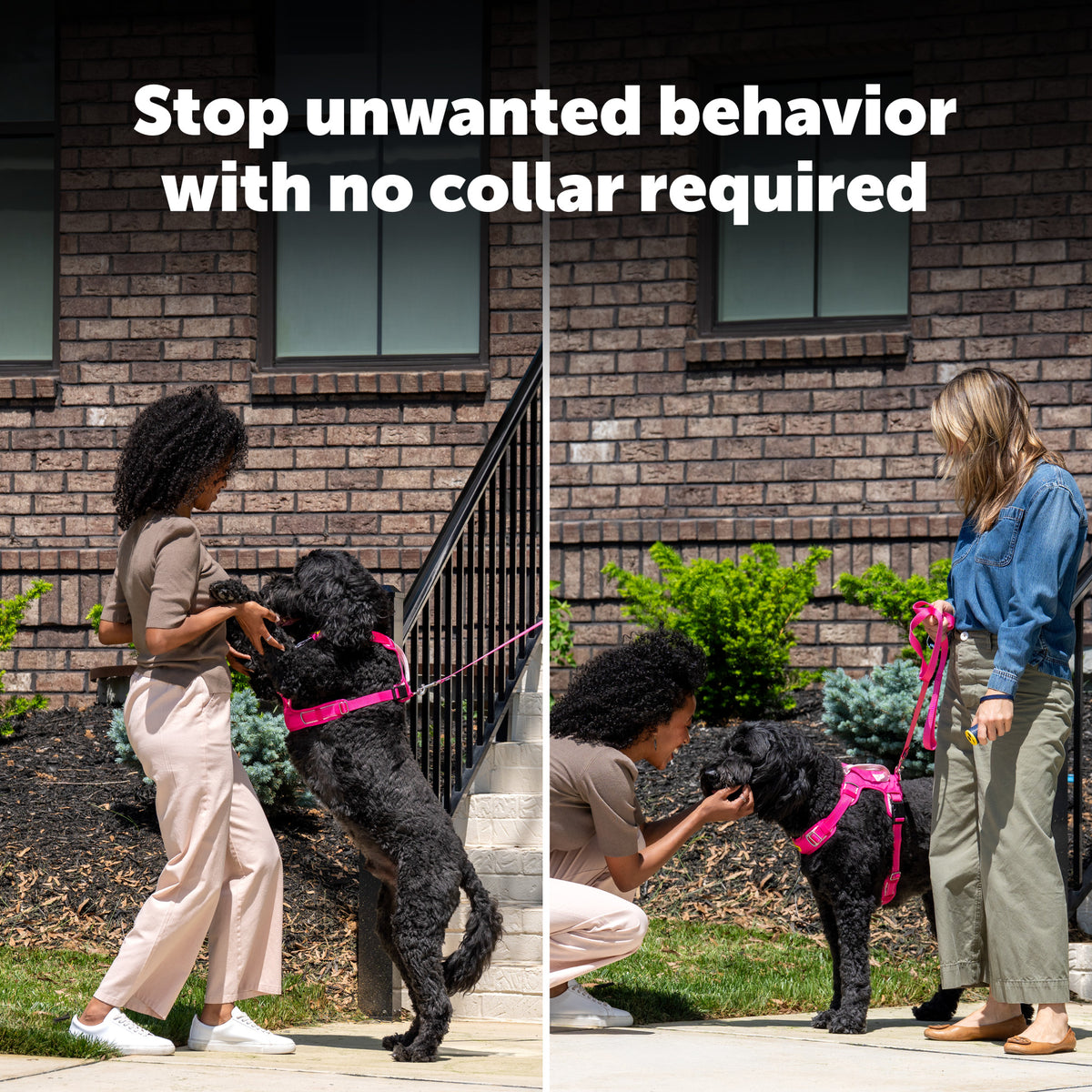Petsafe Collarless Trainer Ultrasonic Training Tool