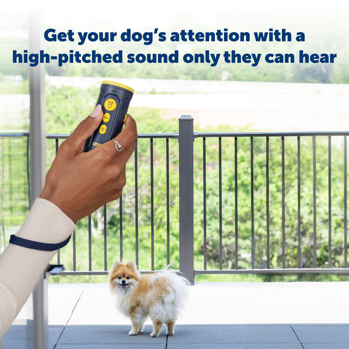 Petsafe Collarless Trainer Ultrasonic Training Tool