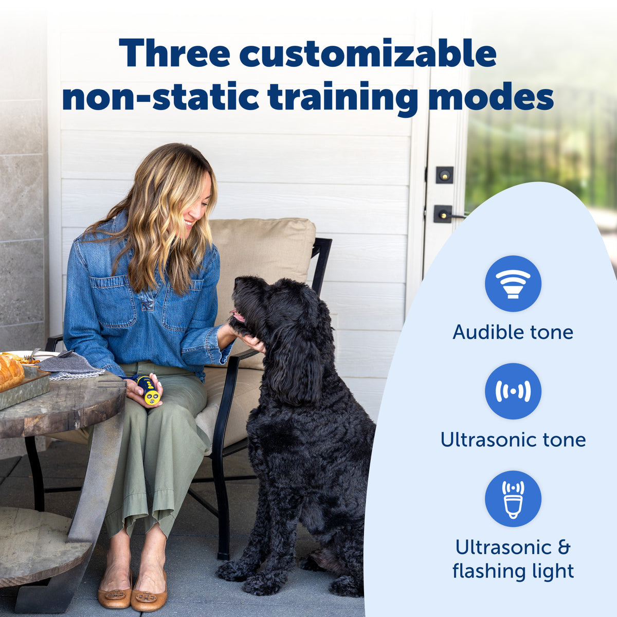 Petsafe Collarless Trainer Ultrasonic Training Tool