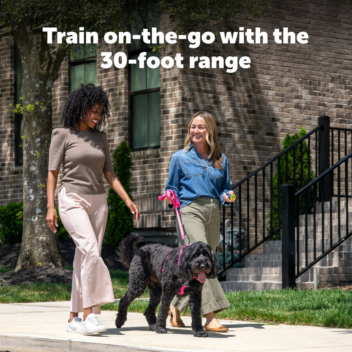 Petsafe Collarless Trainer Ultrasonic Training Tool