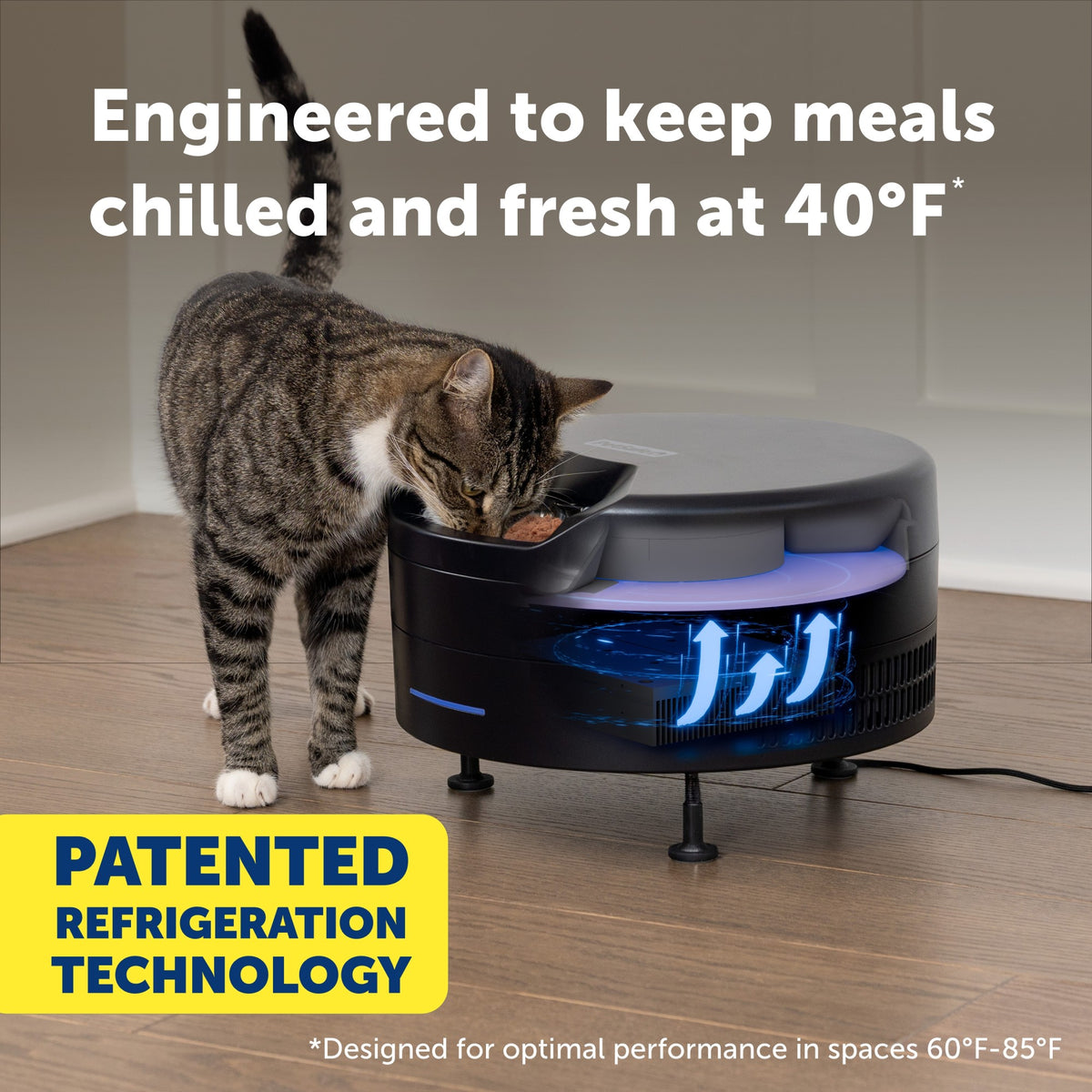 Petsafe Black FreshFeed Refrigerated Pet Feeder