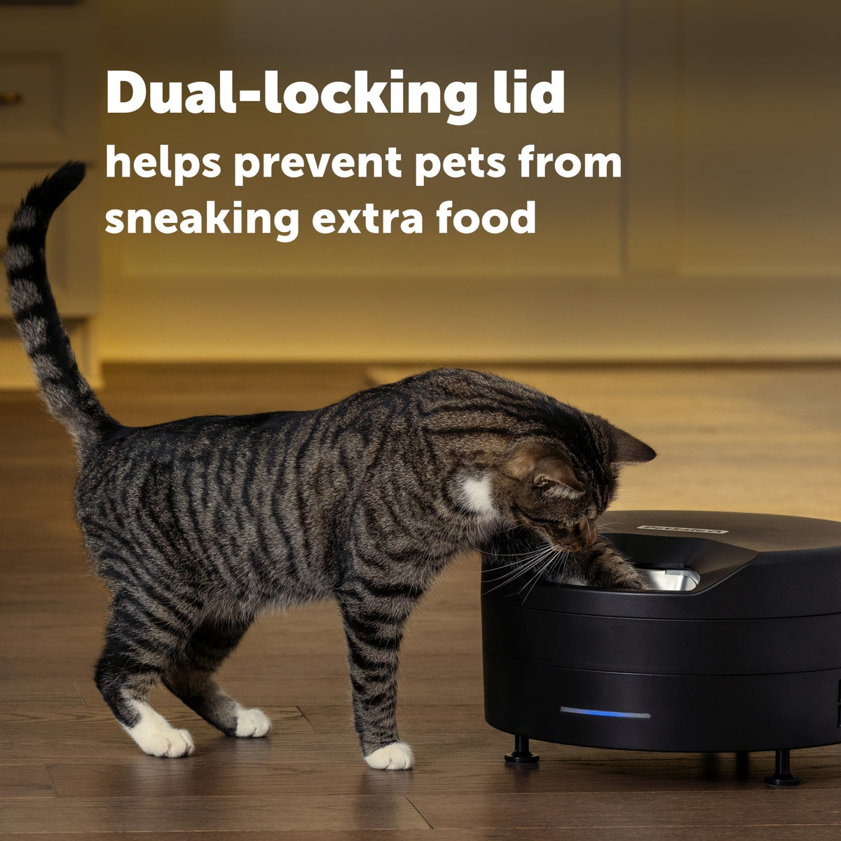 Petsafe Black FreshFeed Refrigerated Pet Feeder