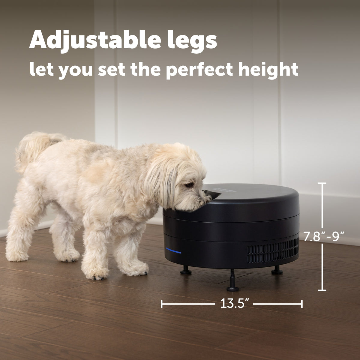 Petsafe Black FreshFeed Refrigerated Pet Feeder