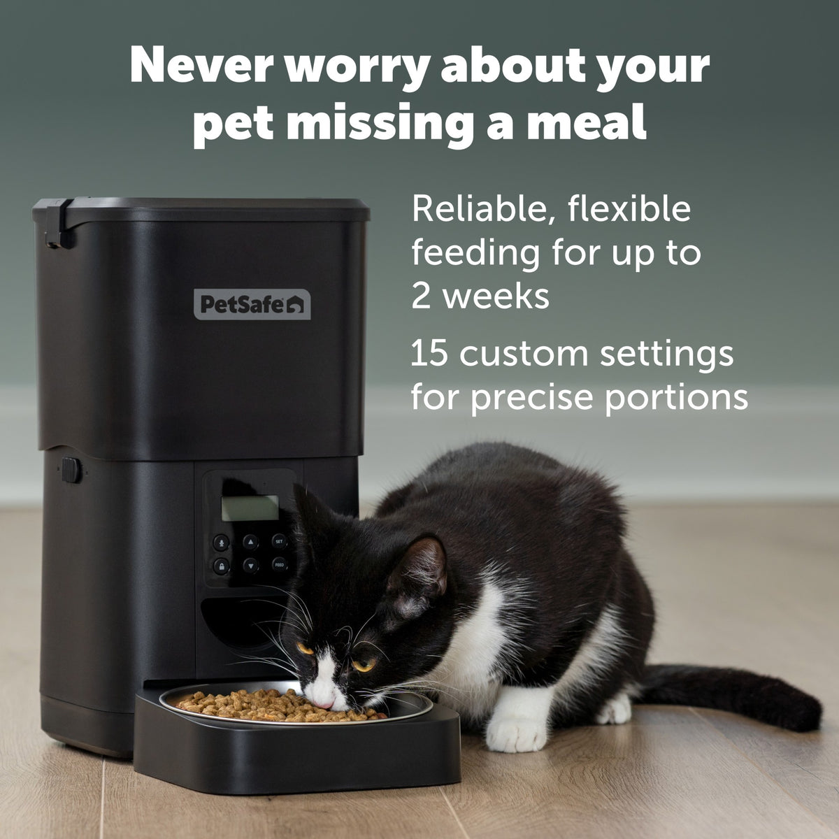 Petsafe Black FlexFeed Automatic Pet Feeder