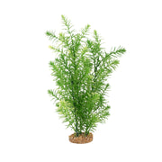 Fluval Green Myriophyllum Aquarium Plant