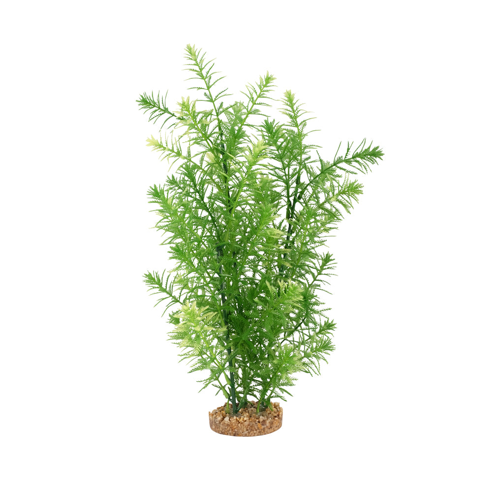 Fluval Green Myriophyllum Aquarium Plant