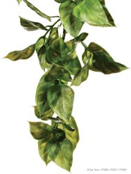 Plastic Amapallo Terrarium Plant