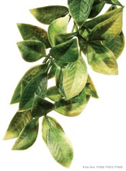 Plastic Mandarin Terrarium Plant