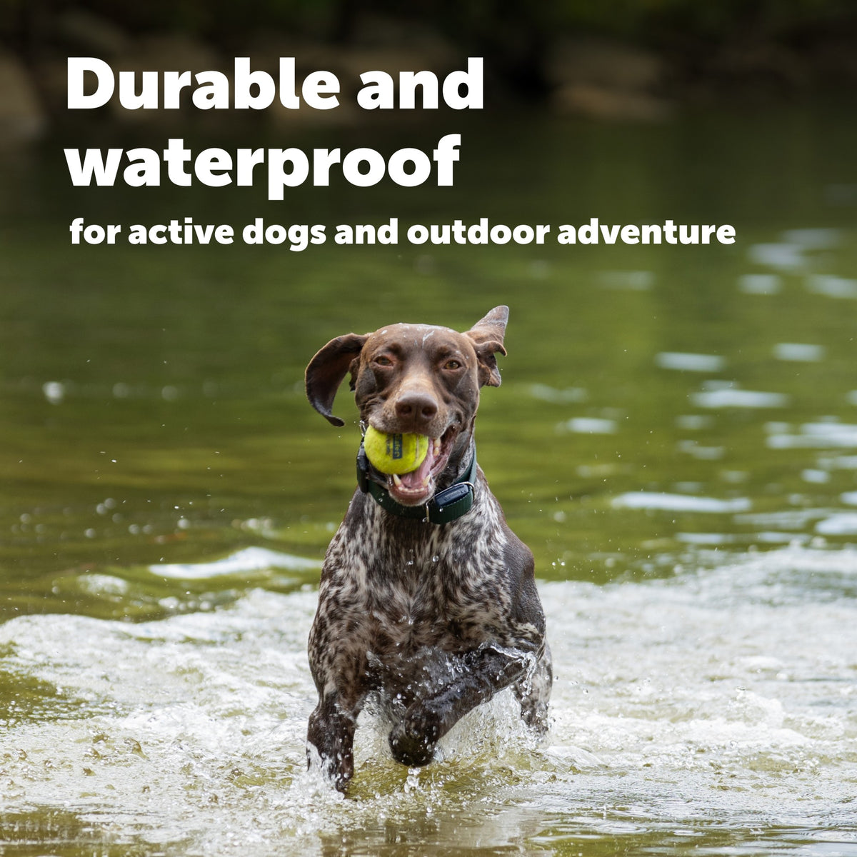 Petsafe GPS Dog Tracker Collar