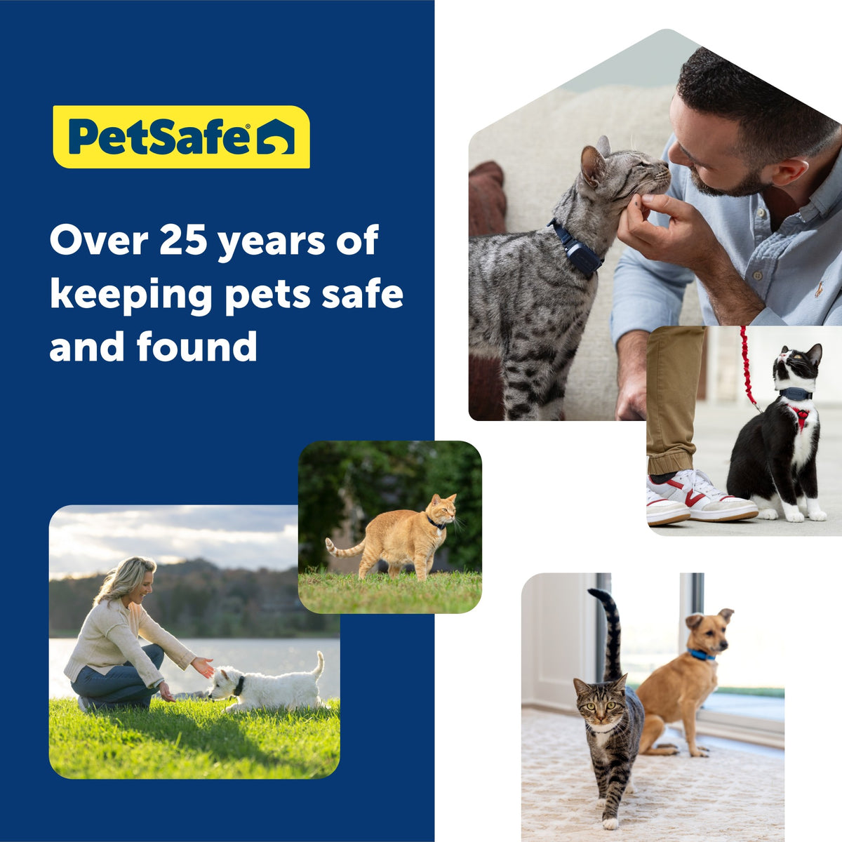 Petsafe GPS Cat Tracker Collar