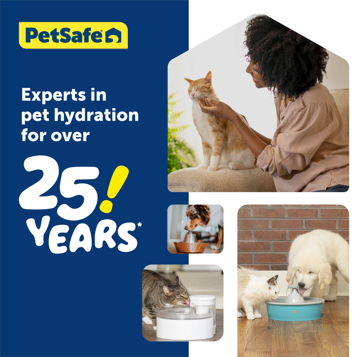 Petsafe Outlast Pumpless Pet Water Fountain 90 oz