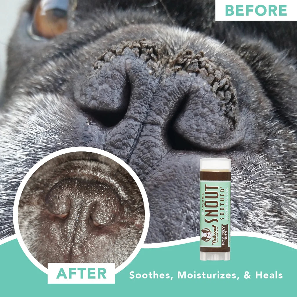 Natural Dog Company Snout Soother Travel Stick .15 oz
